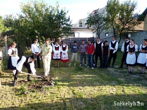 •  Fotó: P. Dávid Tünde