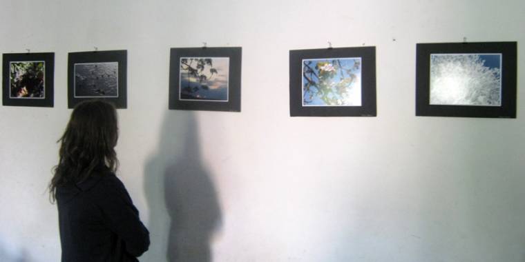 Fotókiállítás nyílt a Madarak és fák világnapján