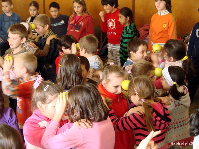 •  Fotó: P. Dávid Tünde