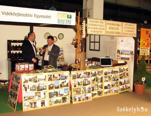 •  Fotó: P. Dávid Tünde