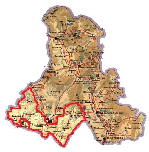 •  Fotó: P. Dávid Tünde