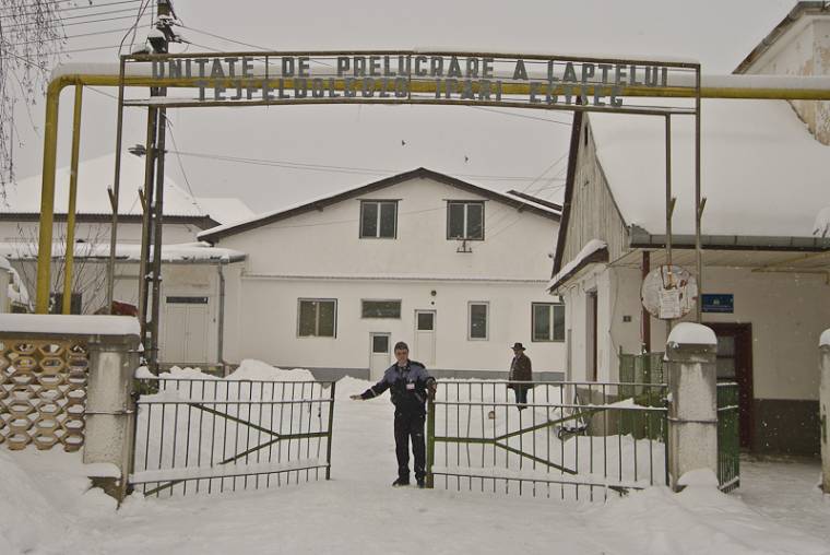 Hitelből indítják el a tejgyárat Keresztúron