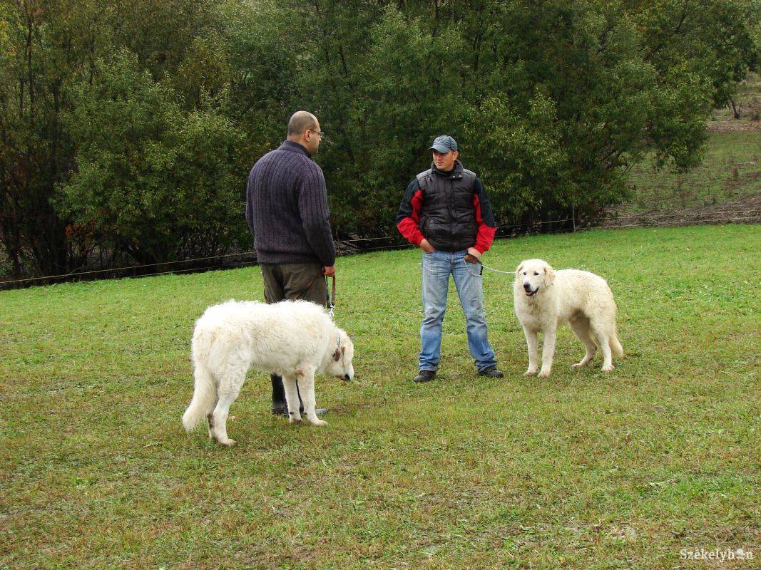 &bullet;  Fotó: Simon Eszter