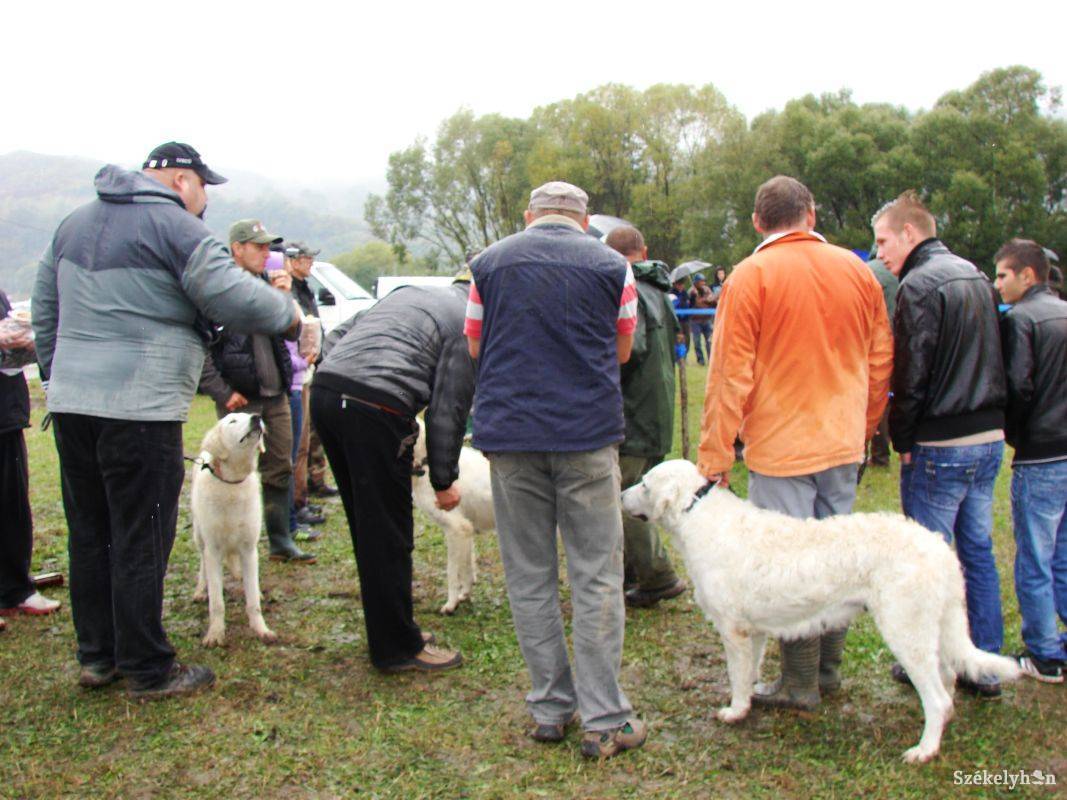 • Fotó: Simon Eszter