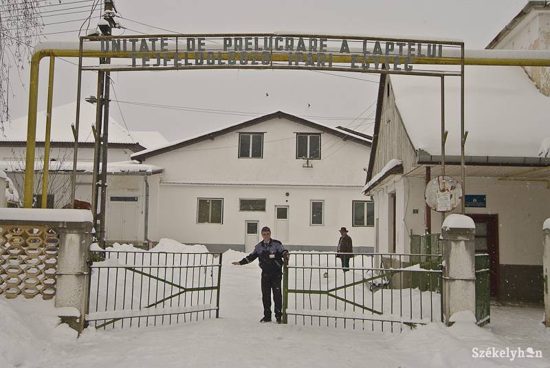 • Fotó: Veres Nándor