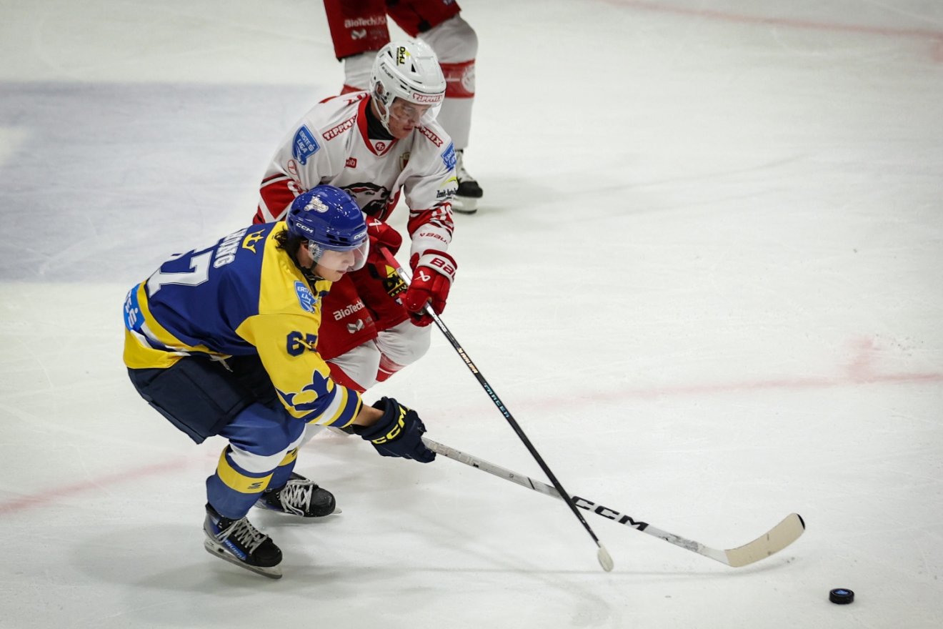 •  Fotó: Brassói Corona/Cătălina Zorojanu