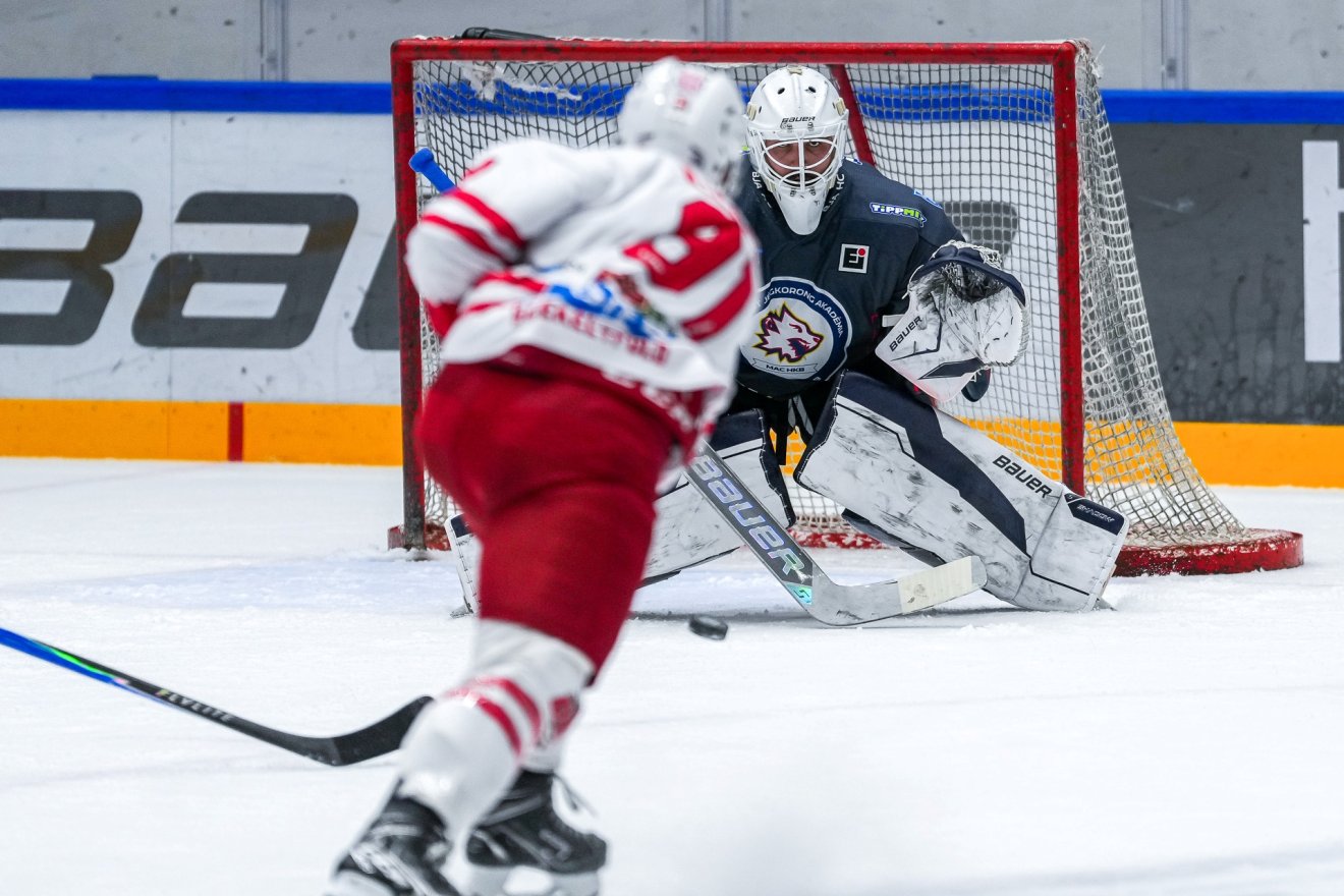 •  Fotó: Várhegyi Erna/BJAHC