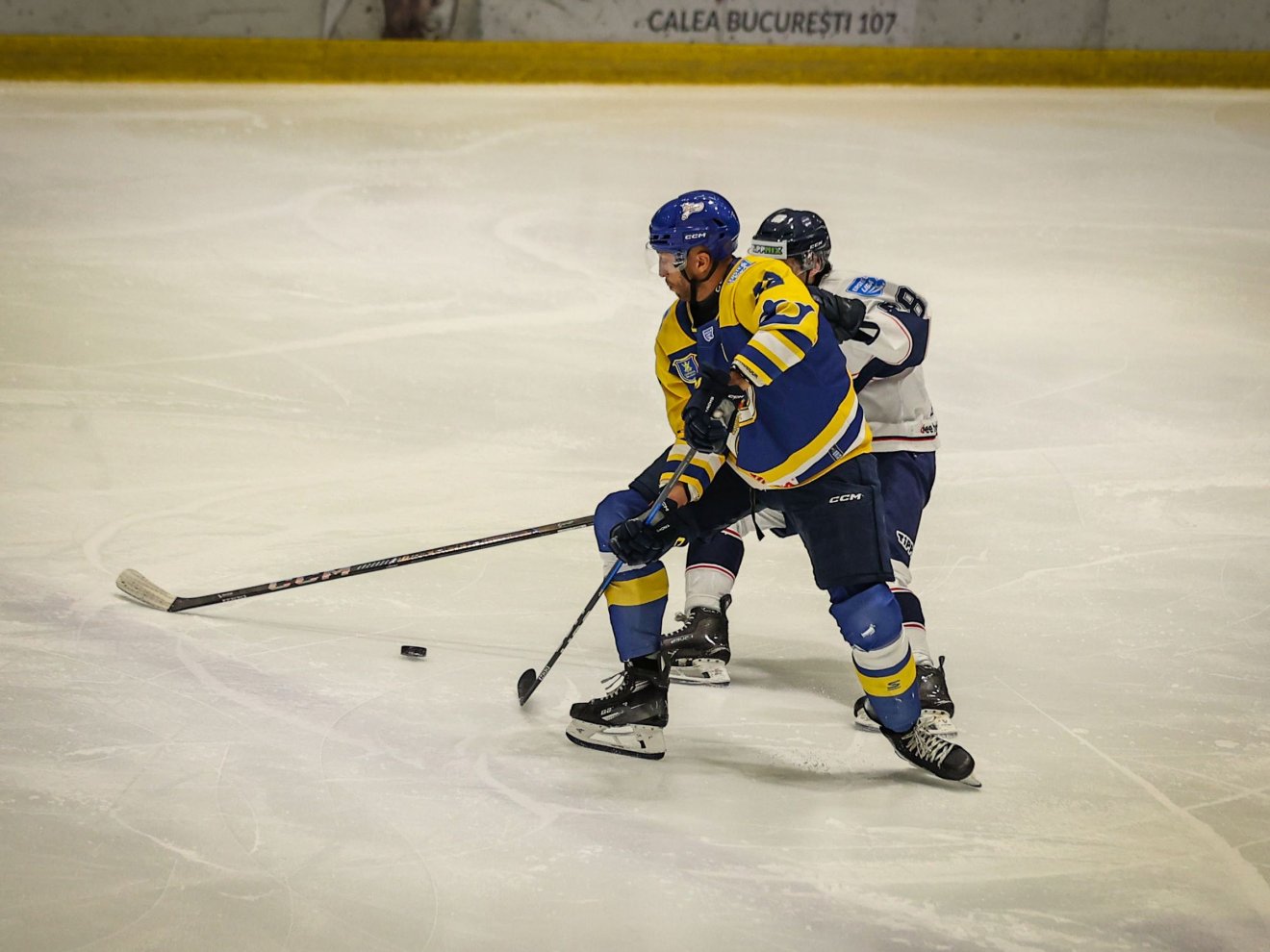 &bullet;  Fotó: Cătălina Zorojanu