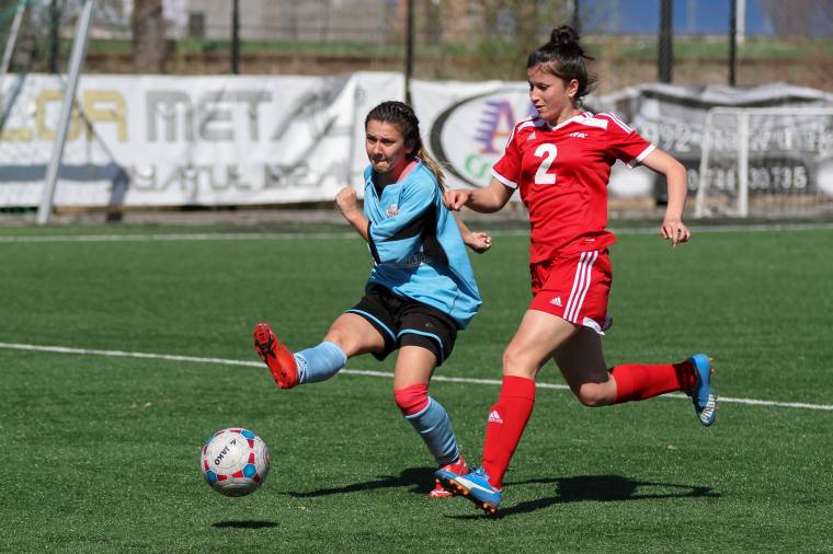 A dinóparkba került az erdővidéki masztodon