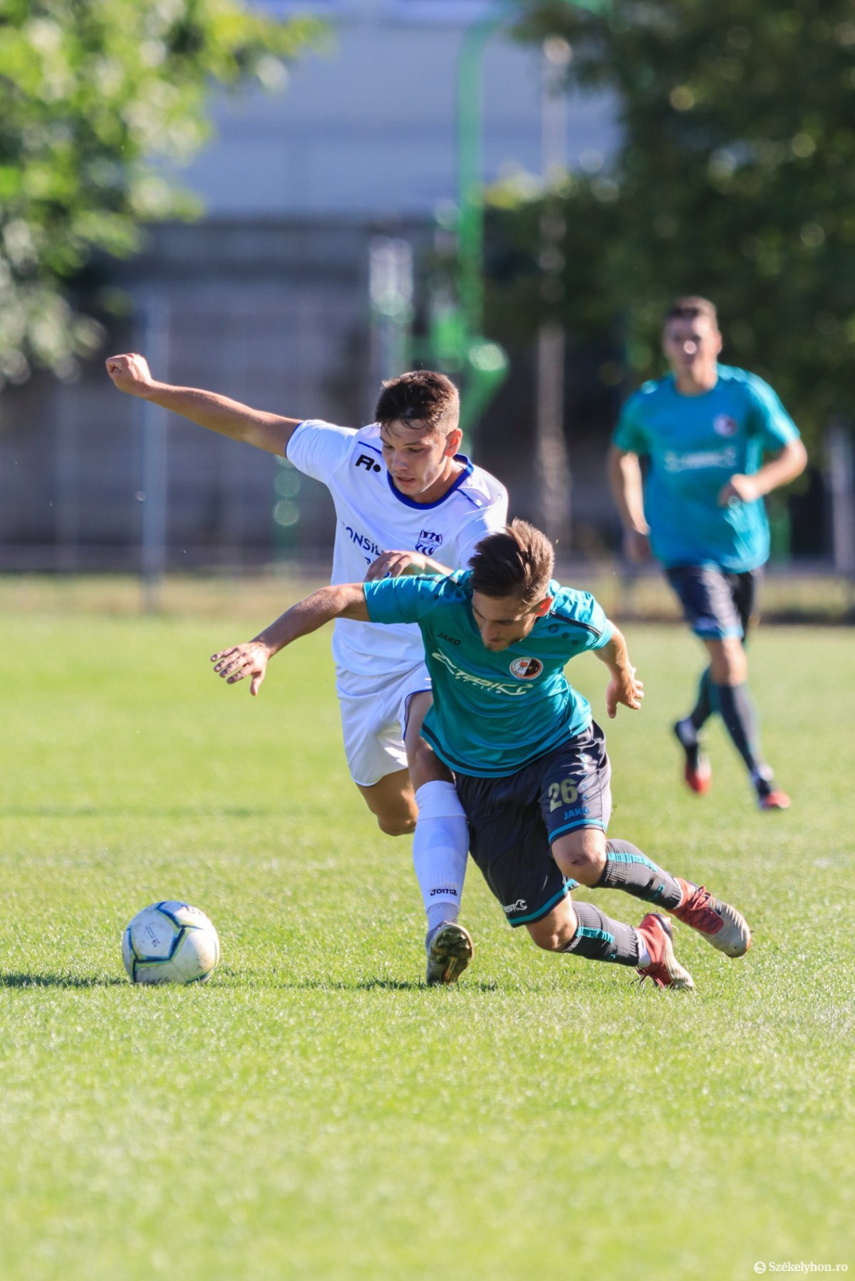 • Fotó: Erdély Bálint Előd 