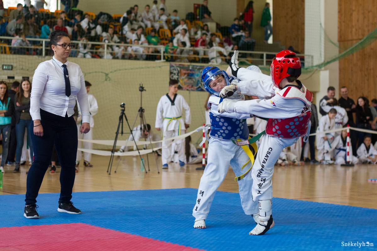 •  Fotó: Pál Árpád