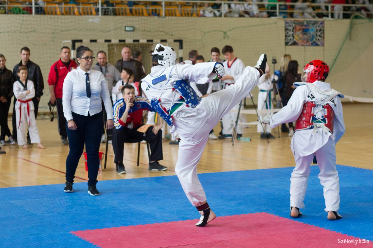 •  Fotó: Pál Árpád