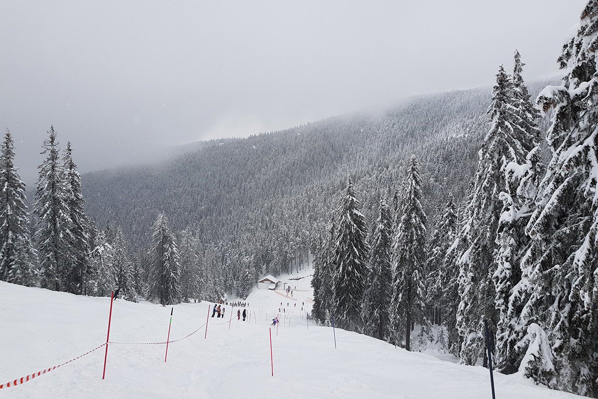 &bullet;  Fotó: Facebook/Roseal Sícsapat