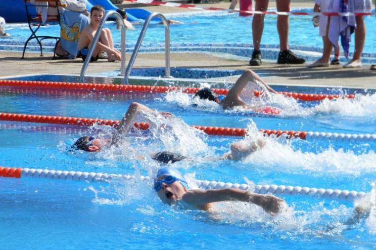A Delfin Úszóiskola fiataljainak sikerét hozta a hétvégi kupa
