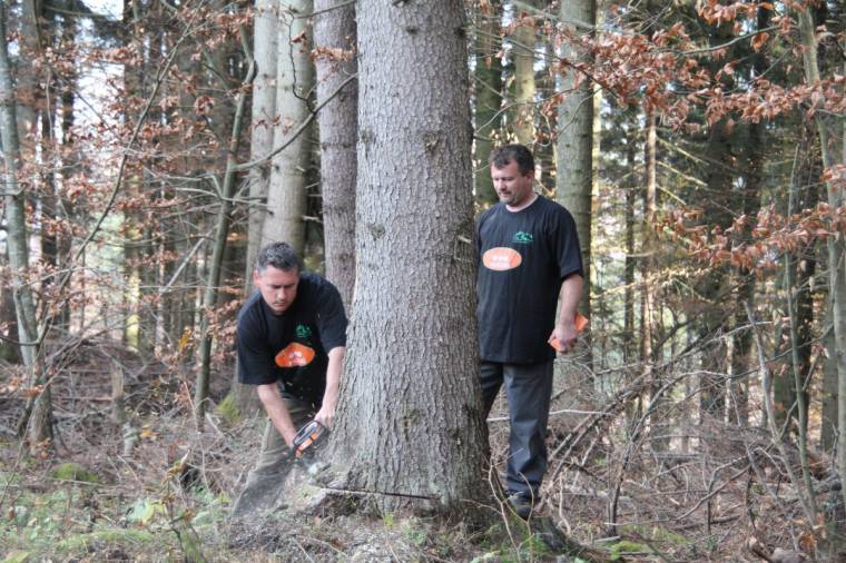 Kemény fába vágták a fejszéjüket