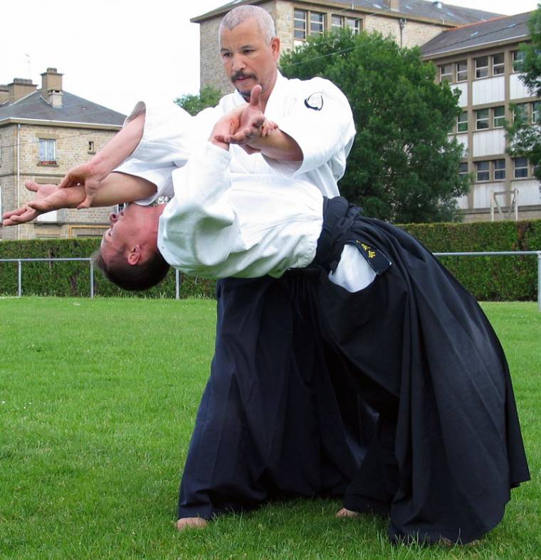 Nemzetközi aikido nyári tábor lesz Székelyudvarhelyen
