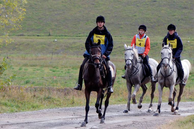 Két udvarhelyi a homoródfürdői távlovagló országos bajnokságon