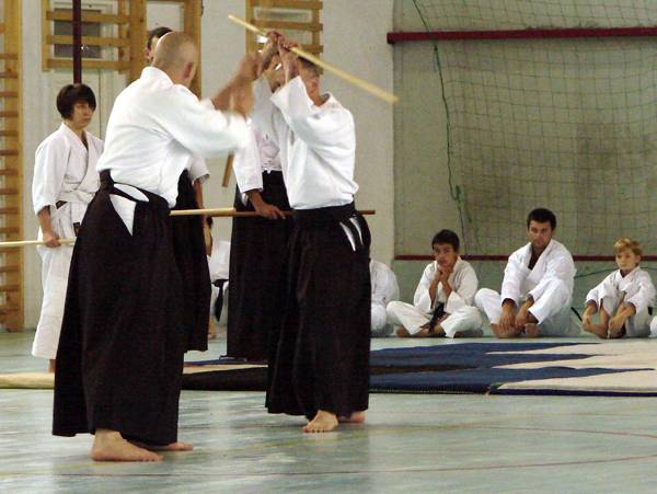 Nemzetközi aikido edzőtábor Székelykeresztúron