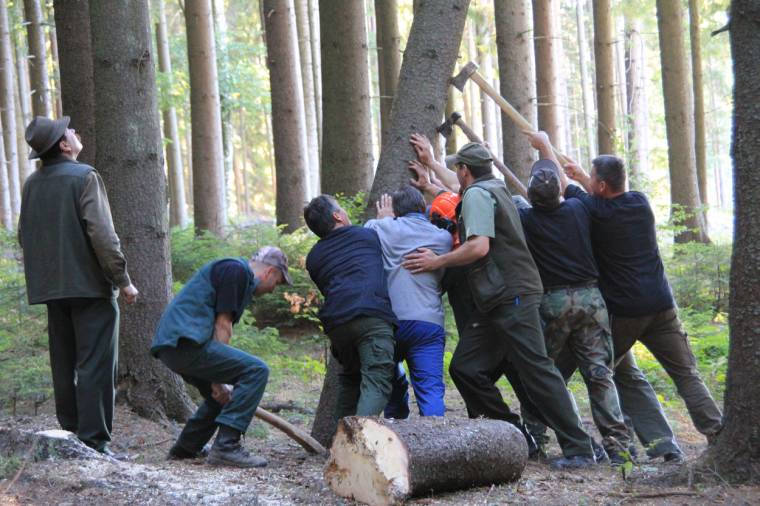Miskolciak nyerték az ivó favágóversenyt