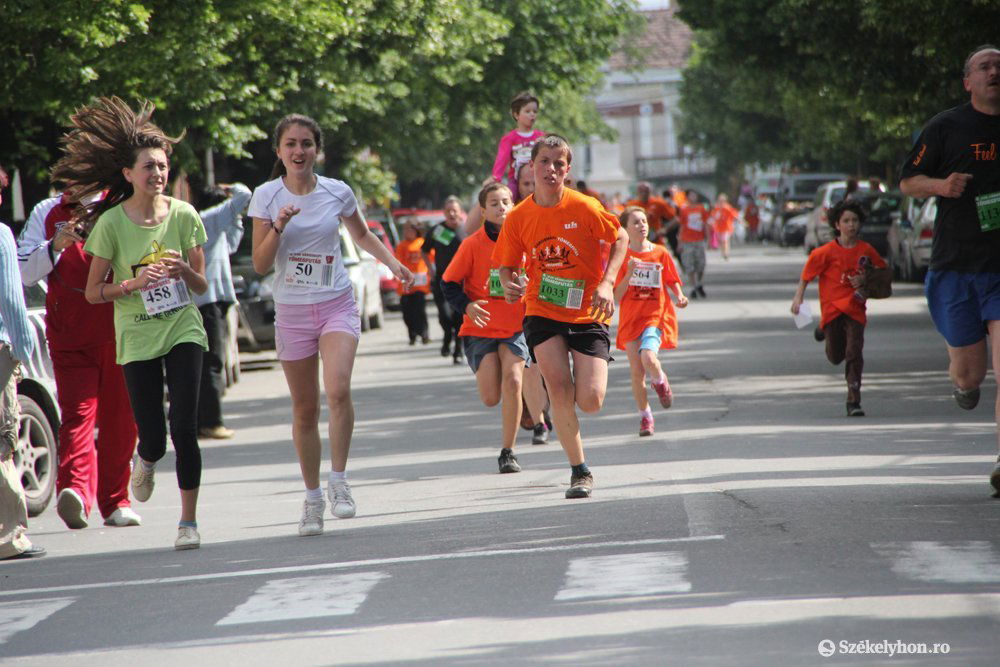 • Fotó: Farkas Antal