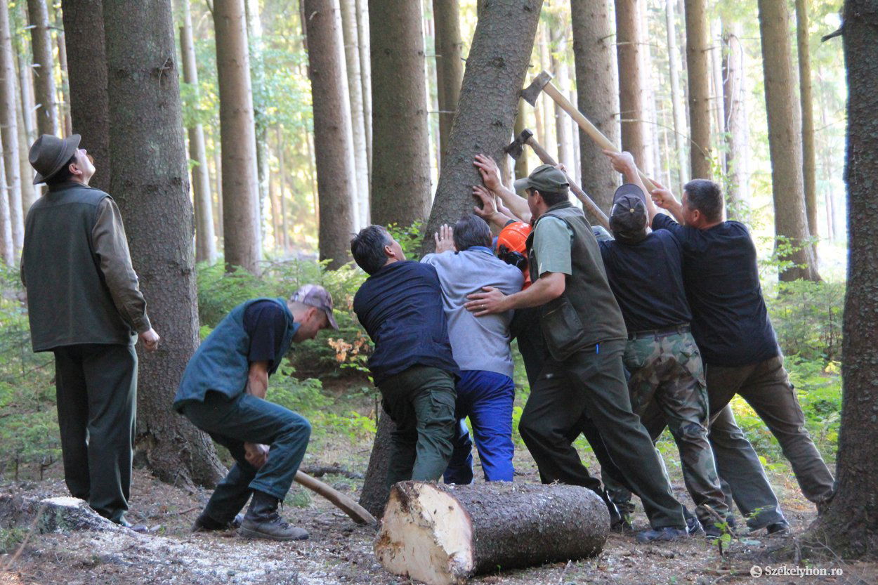 • Fotó: Farkas Antal