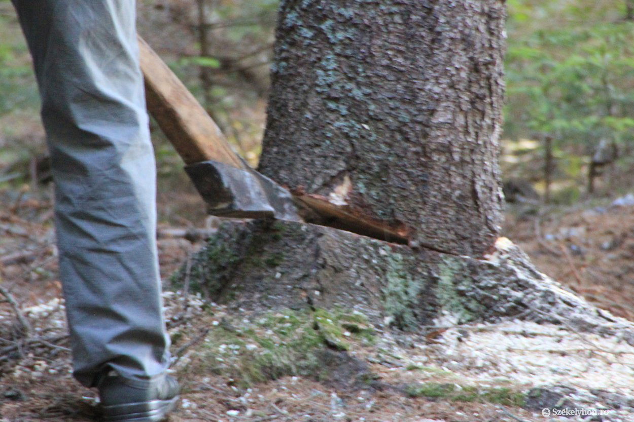 &bullet;  Fotó: Farkas Antal