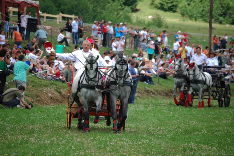 Lovas-napok ötödszörre