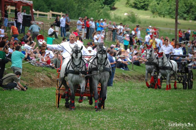 • Fotó: Bodnár Arthur