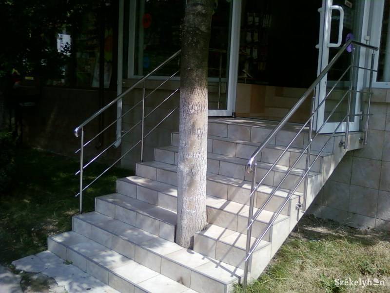 •  Fotó: Elekes Zsolt