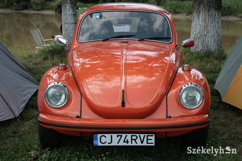 •  Fotó: Csatlos Károly