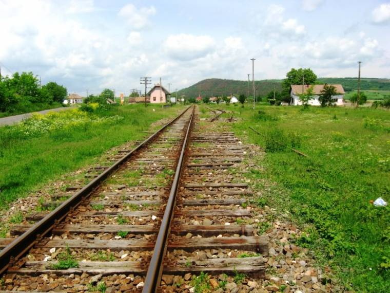Homo- és heteroszexuális erőszakolók