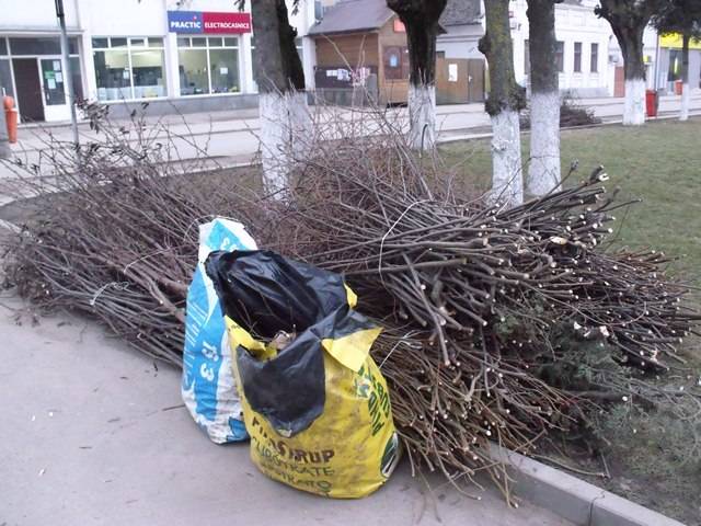 Tavaszi nagytakarítás Szovátán