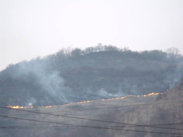 Megfékezték a tüzet Backamadarason