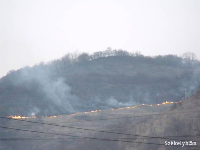 • Fotó: Gligor Róbert László
