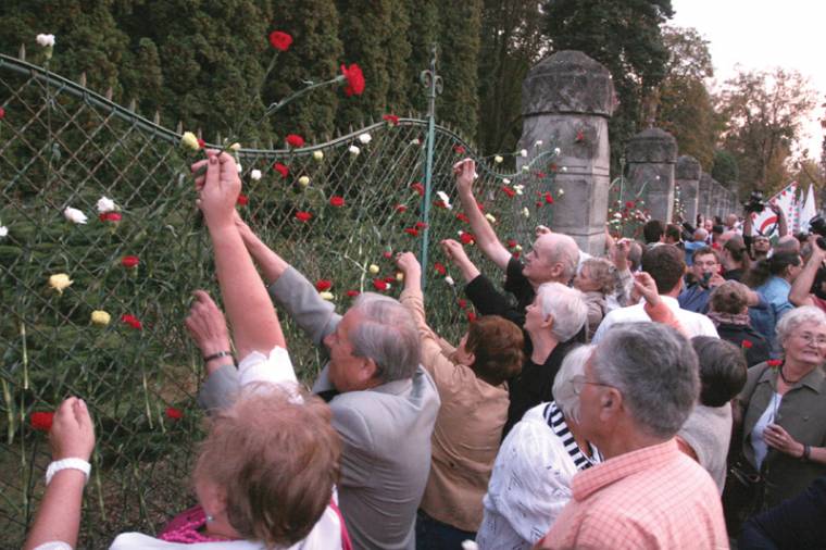 Szegfűtengerrel a magyar oktatás elsorvasztása ellen