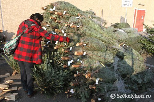 •  Fotó: Boda L. Gergely