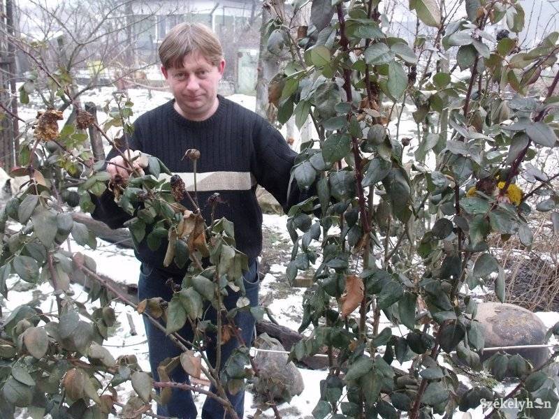 • Fotó: Gligor Róbert László