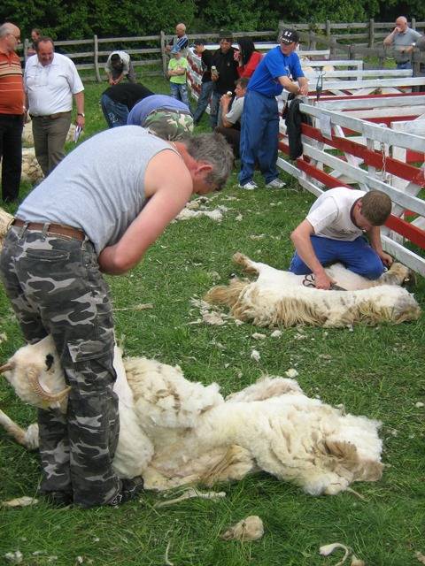 Juhszemle ötödször