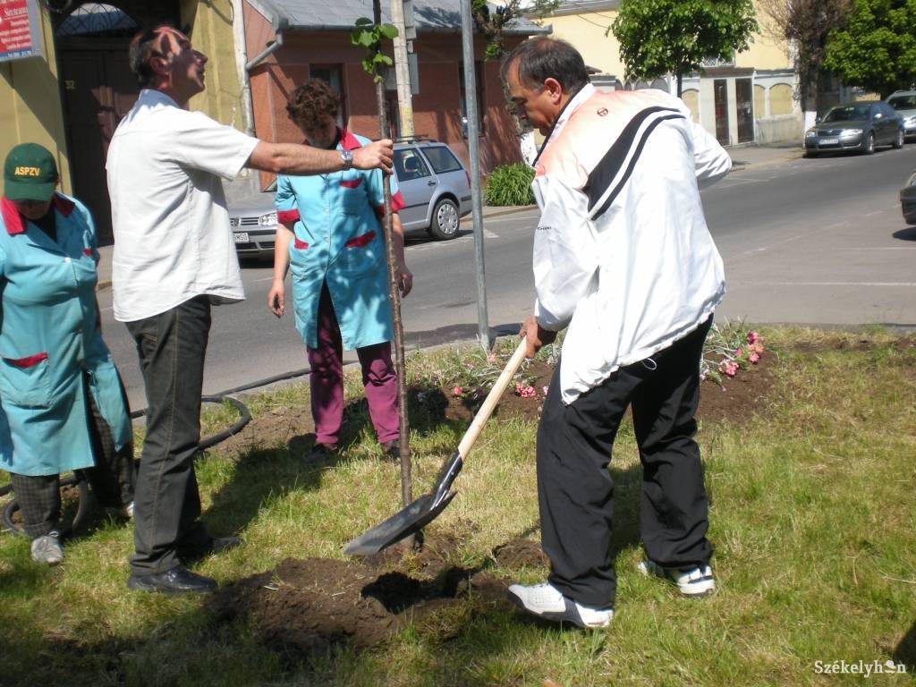 •  Fotó: Fancsali Attila