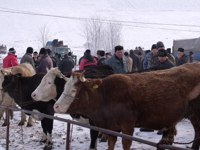 Károly-napi vásár Székelyhodoson
