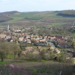 Gabonáért jöttek, pénzt vittek