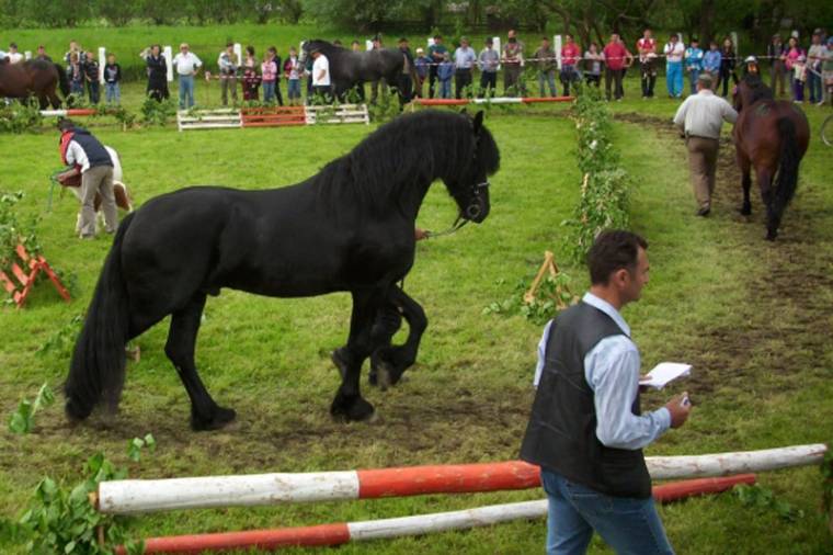 Kevés pénz, kevesebb rendezvény