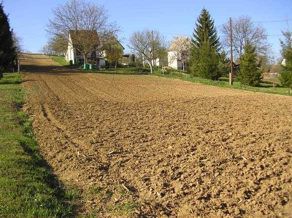 Nagyon sokan kérték a területalapú támogatást