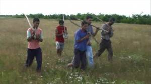 Tízen lopták a telefonkábelt