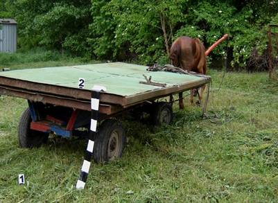 Részeg lókötő – szabadlábon