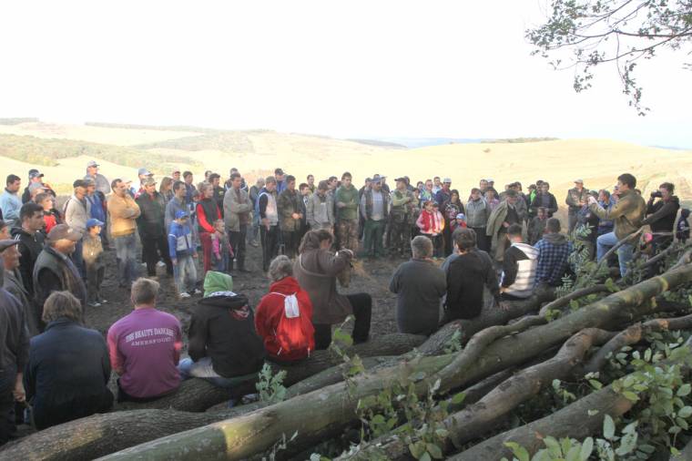 Aláírásgyűjtés a mezőpaniti erdő megvédéséért