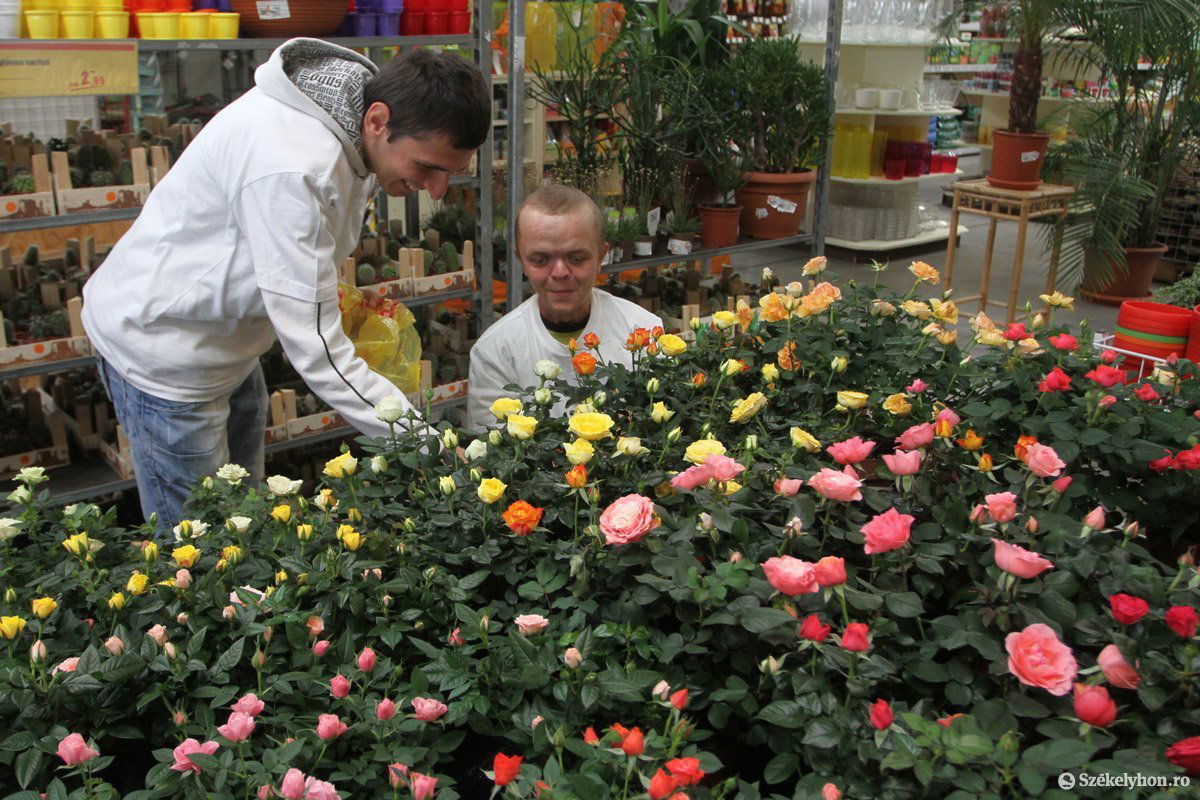 • Fotó: Boda L. Gergely