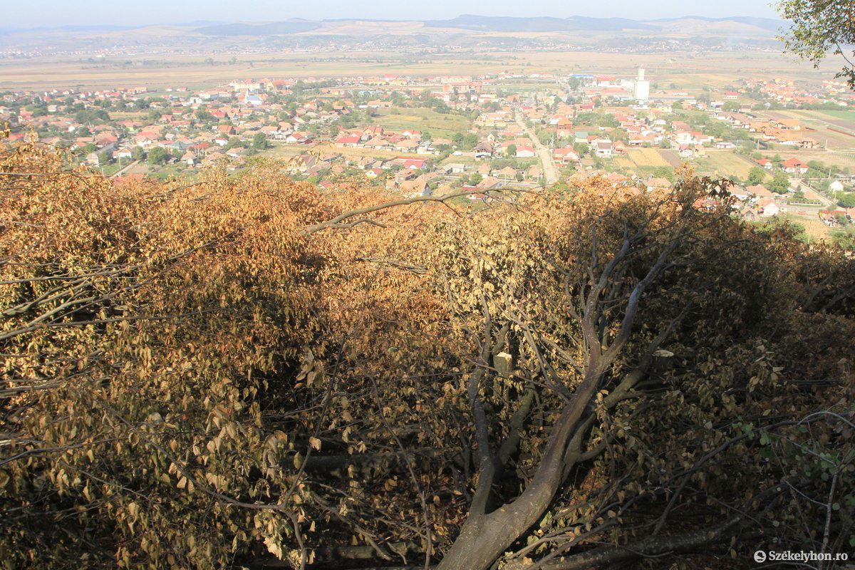• Fotó: Boda L. Gergely