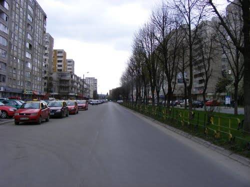 Verekedés a Kövesdombon