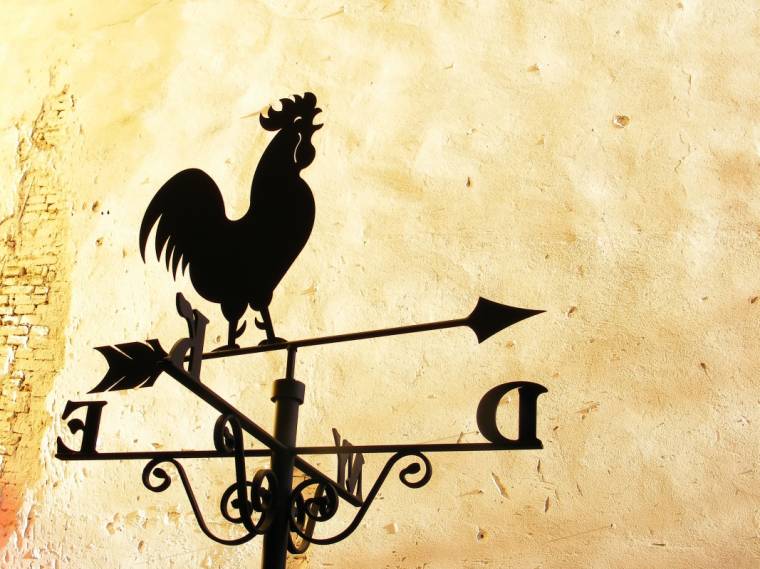 A szélkakasból lehet levest főzni?